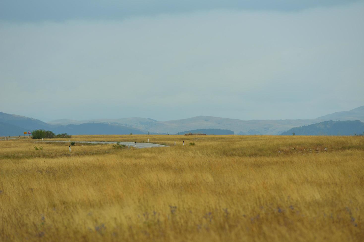 summer landscape view photo