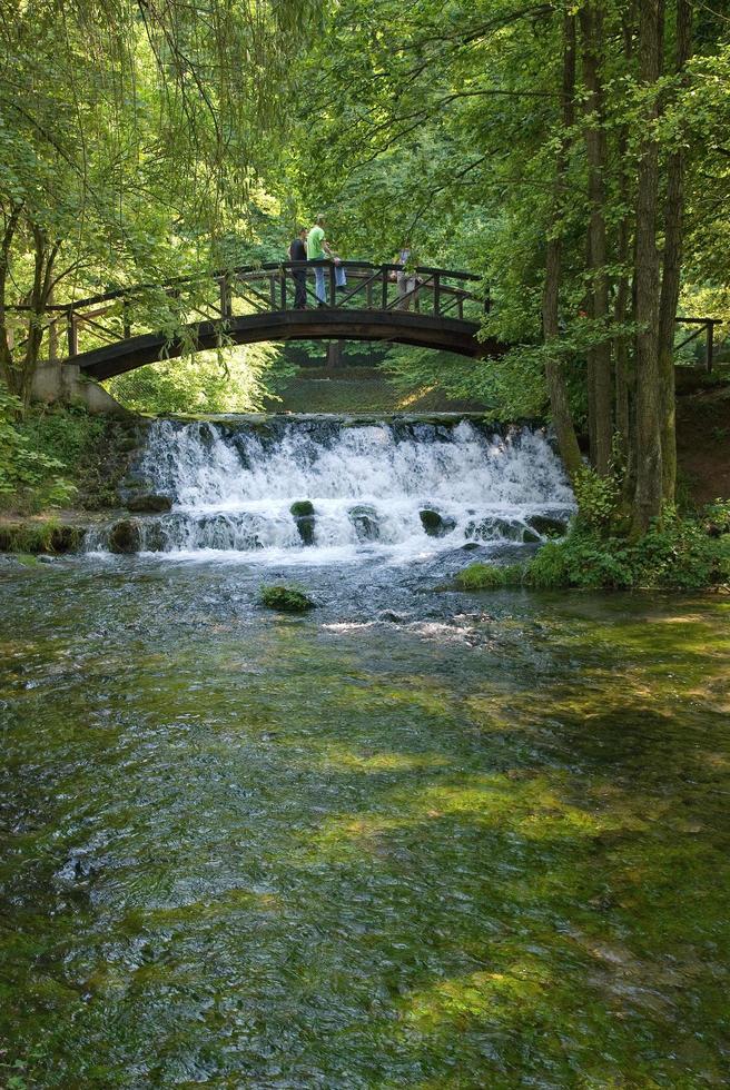 wooden bring over small waterfall photo