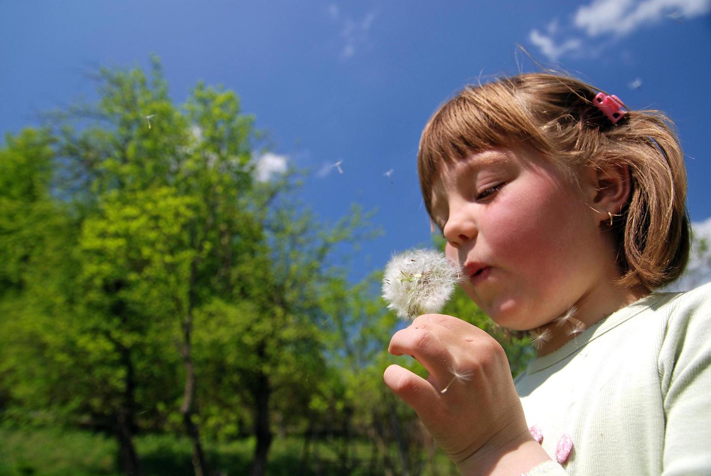 Young girl in nature photo
