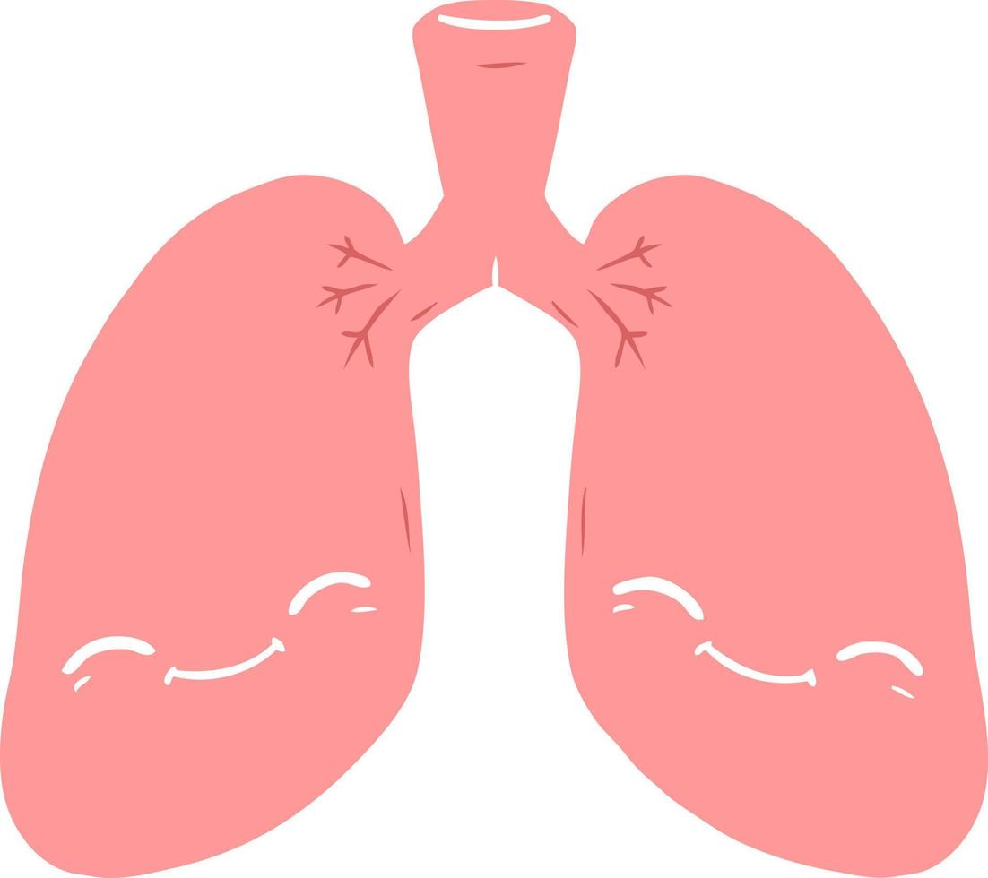 pulmones de dibujos animados de estilo de color plano vector