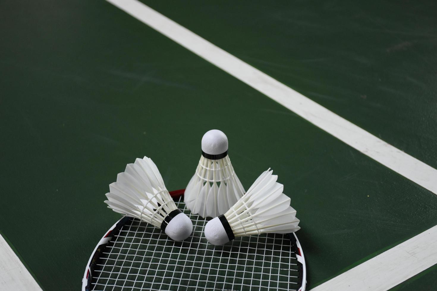 Cream white badminton shuttlecock and racket on red floor in indoor badminton court, copy space, soft and selective focus on shuttlecocks. photo