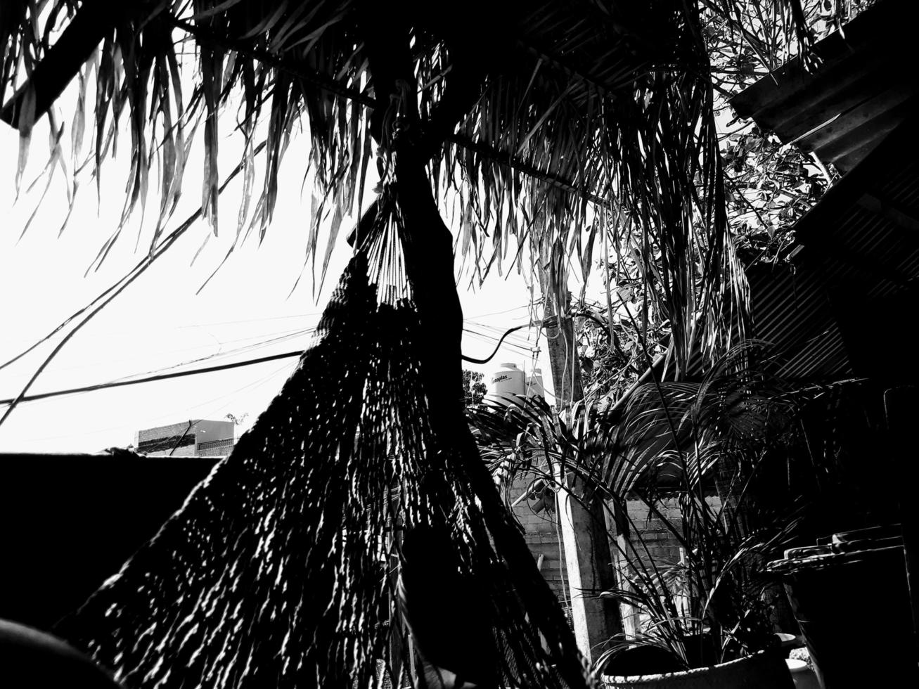 Dusk Hammock Scene photo