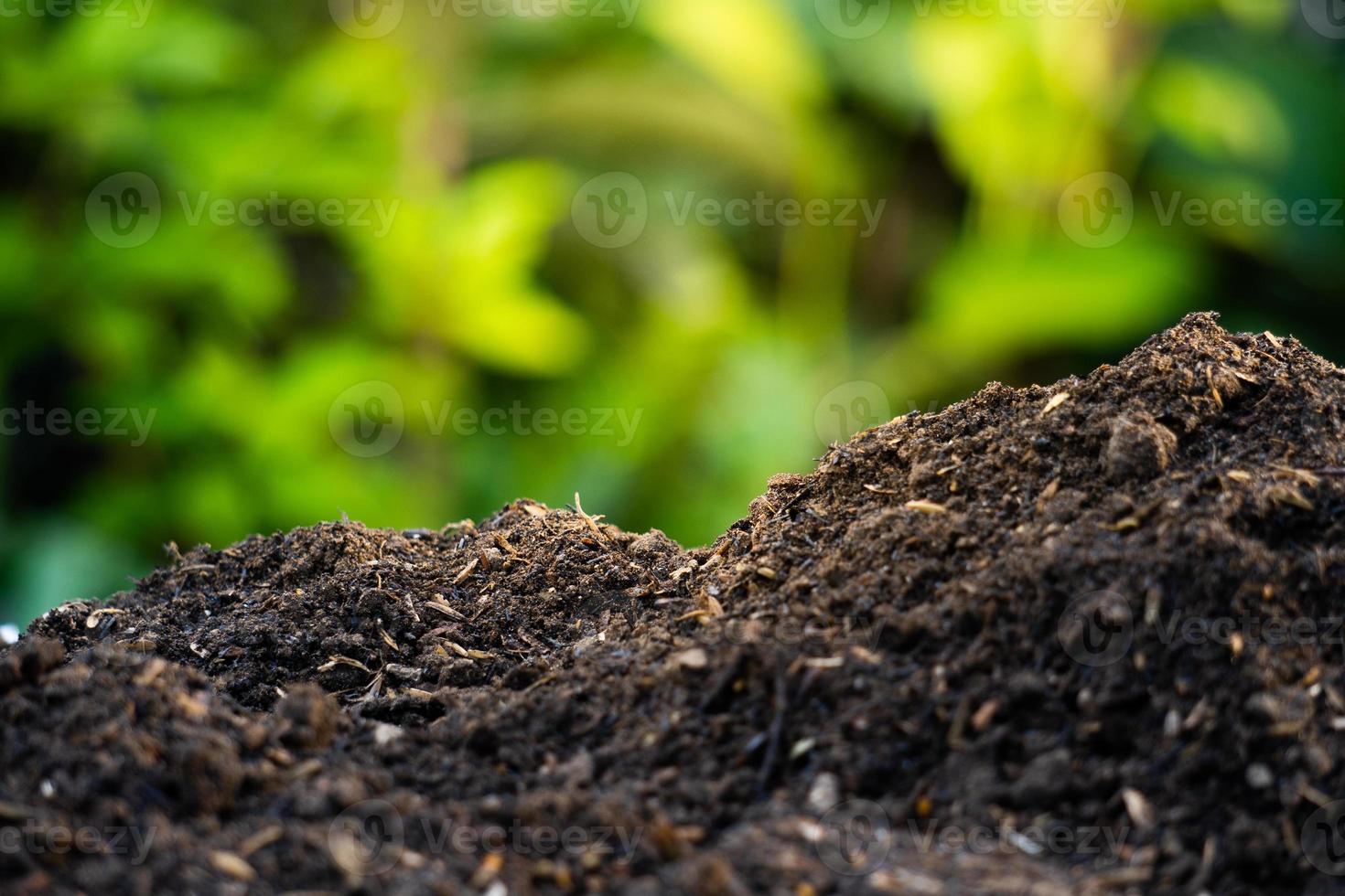 fertile soil background for environmental theme 12131003 Stock Photo at