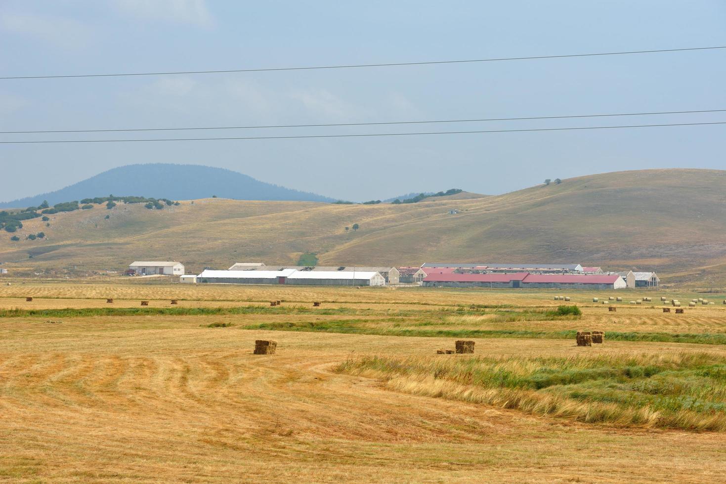 summer landscape view photo