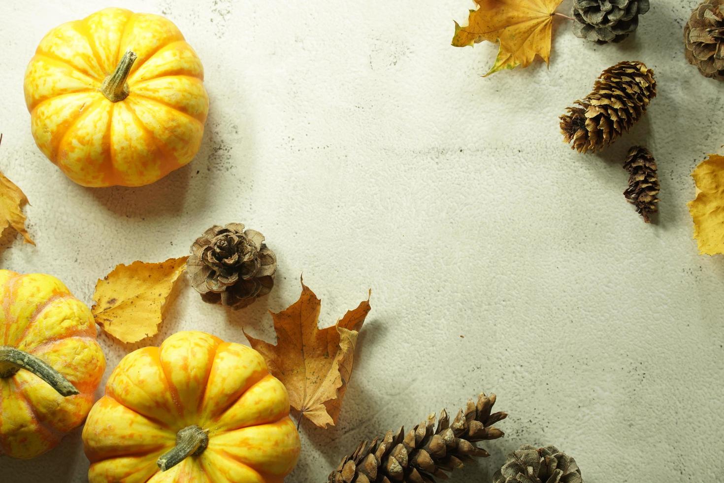 Autumn corner border of orange and white pumpkins. Fall corner border with frosty orange pumpkins on a rustic white wood banner background. Overhead view with copy space. photo