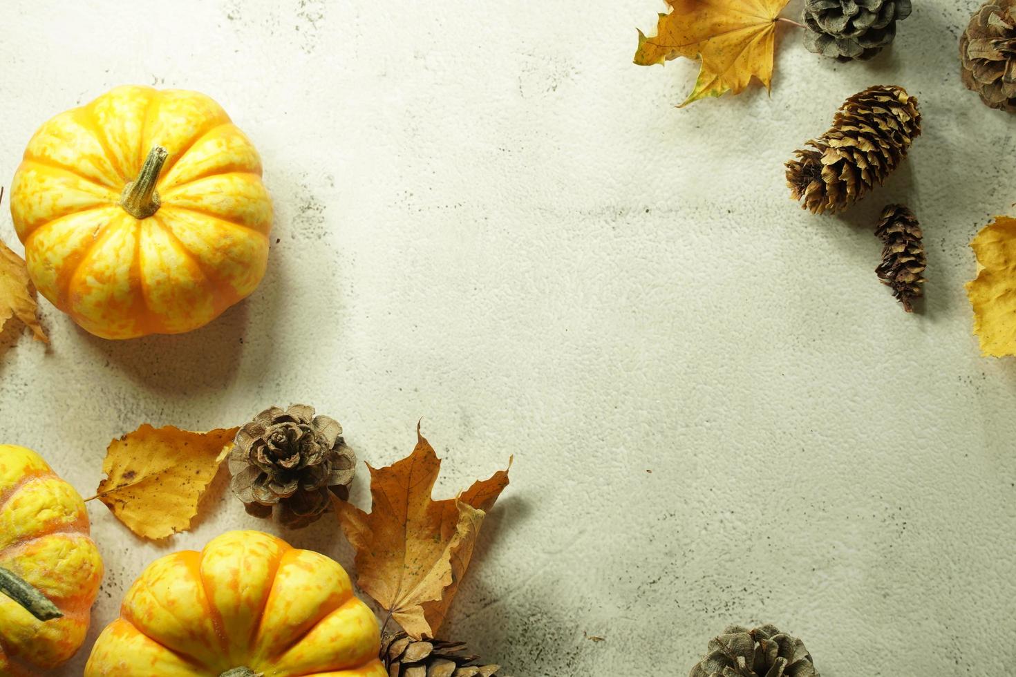 Autumn corner border of orange and white pumpkins. Fall corner border with frosty orange pumpkins on a rustic white wood banner background. Overhead view with copy space. photo