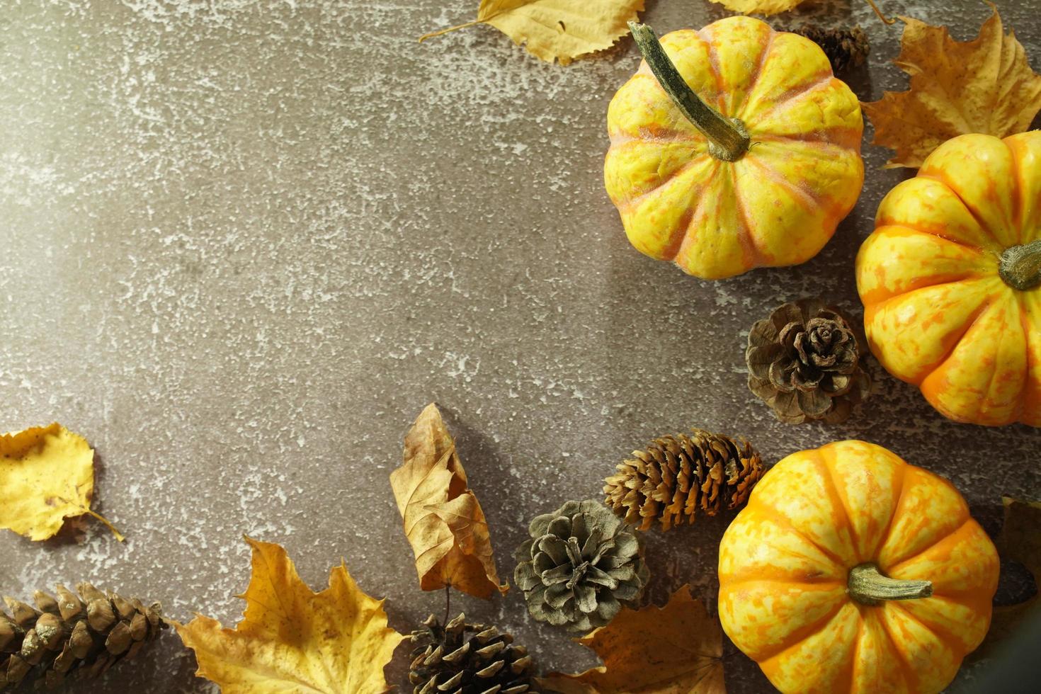 Autumn corner border of orange and white pumpkins. Fall corner border with frosty orange pumpkins on a rustic white wood banner background. Overhead view with copy space. photo