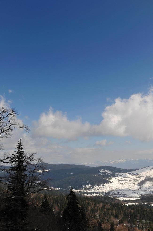 vista del paisaje de invierno foto