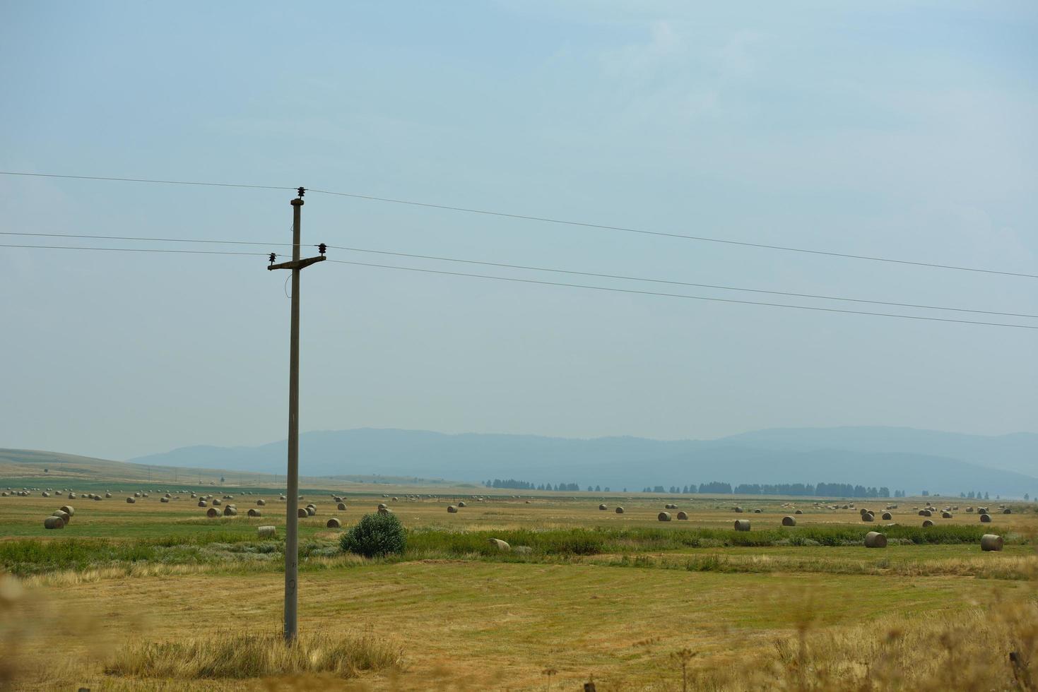 summer landscape view photo