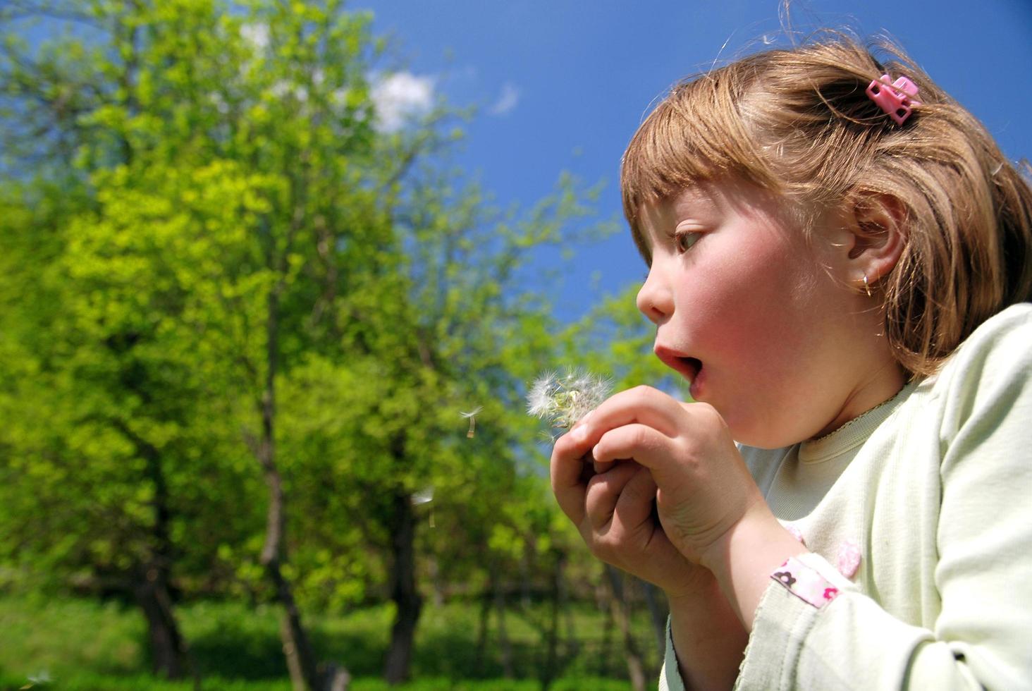 cute girl blowing dundelion photo