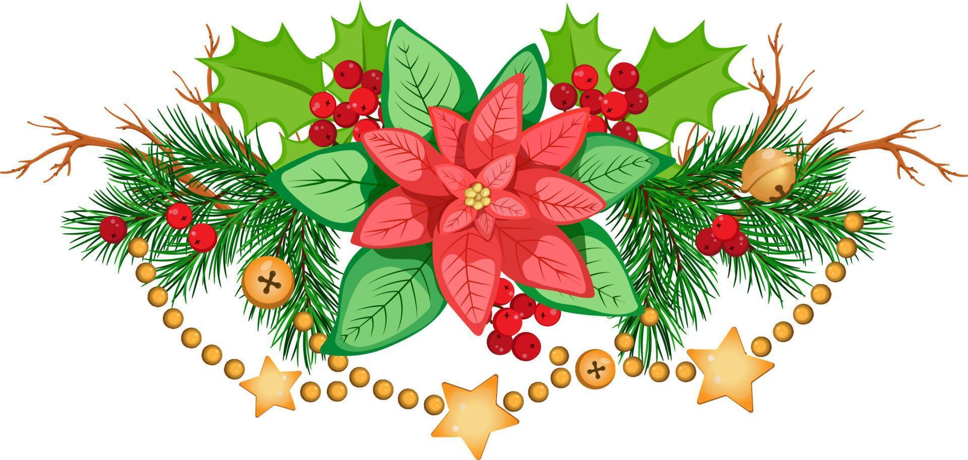 Christmas composition with poinsettia, fir branches, with holly, branches, berries and golden garland. vector