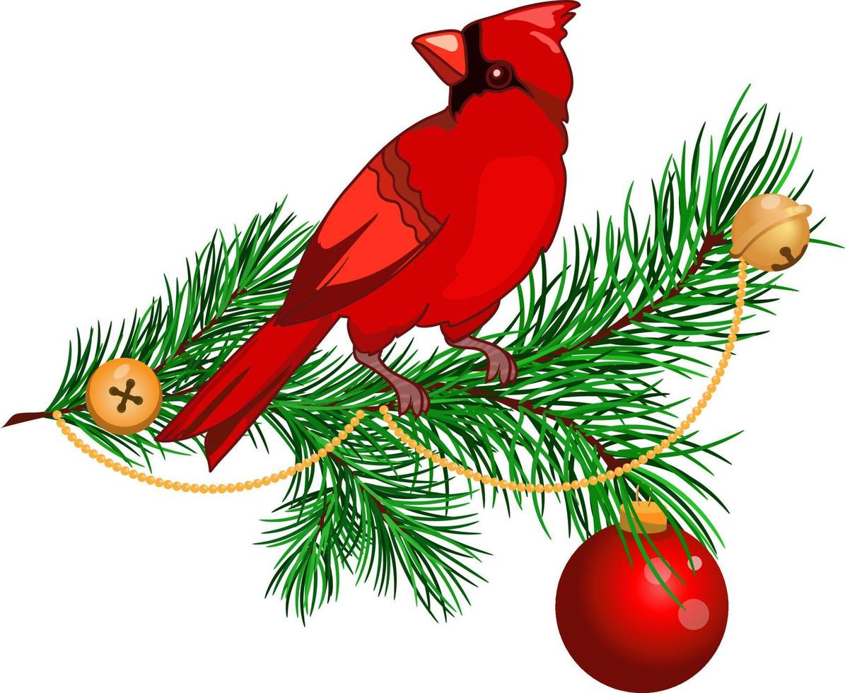 Christmas arrangement with cardinal bird, Vector illustration