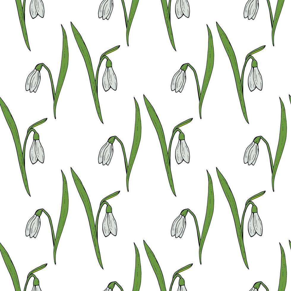 Seamless pattern with snowdrops on white background vector