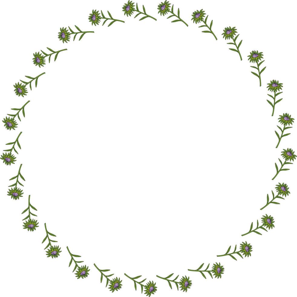 Round frame with violet aster buds on white background. Doodle style. Vector image.
