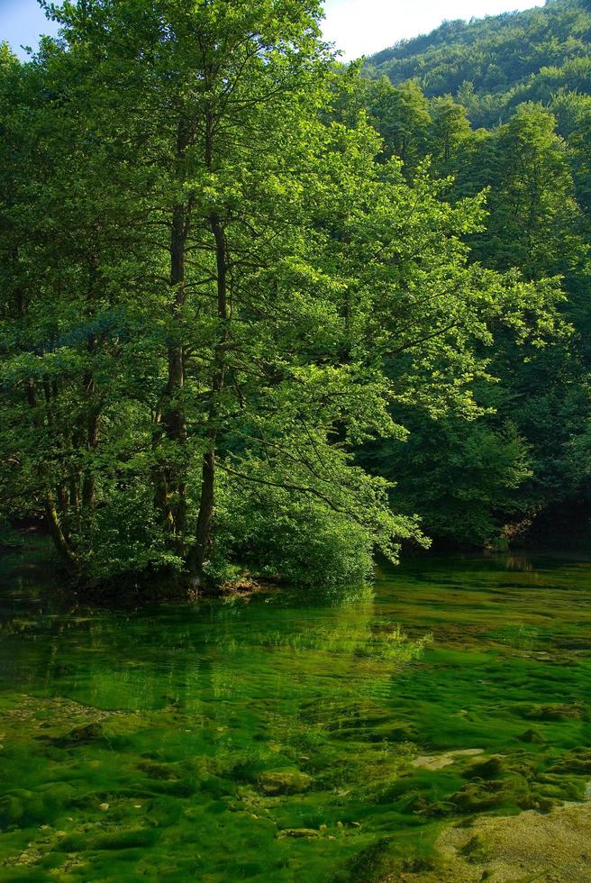 lake in pure nature photo