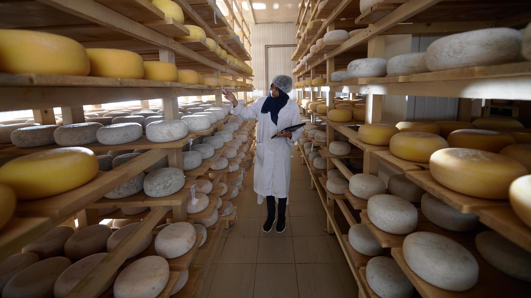 business woman team in local  cheese production company photo