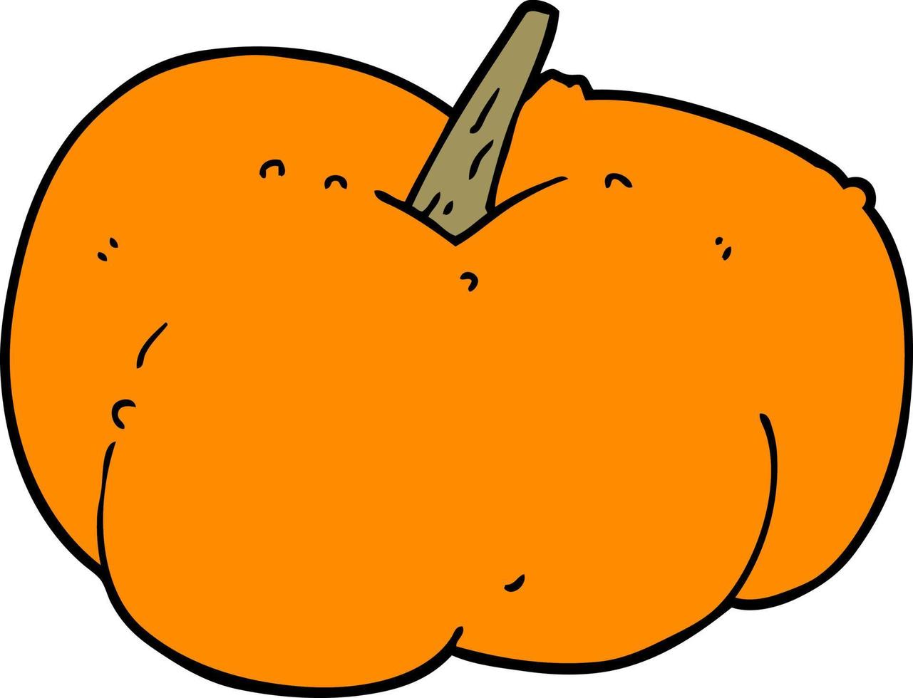 cartoon pumpkin squash vector