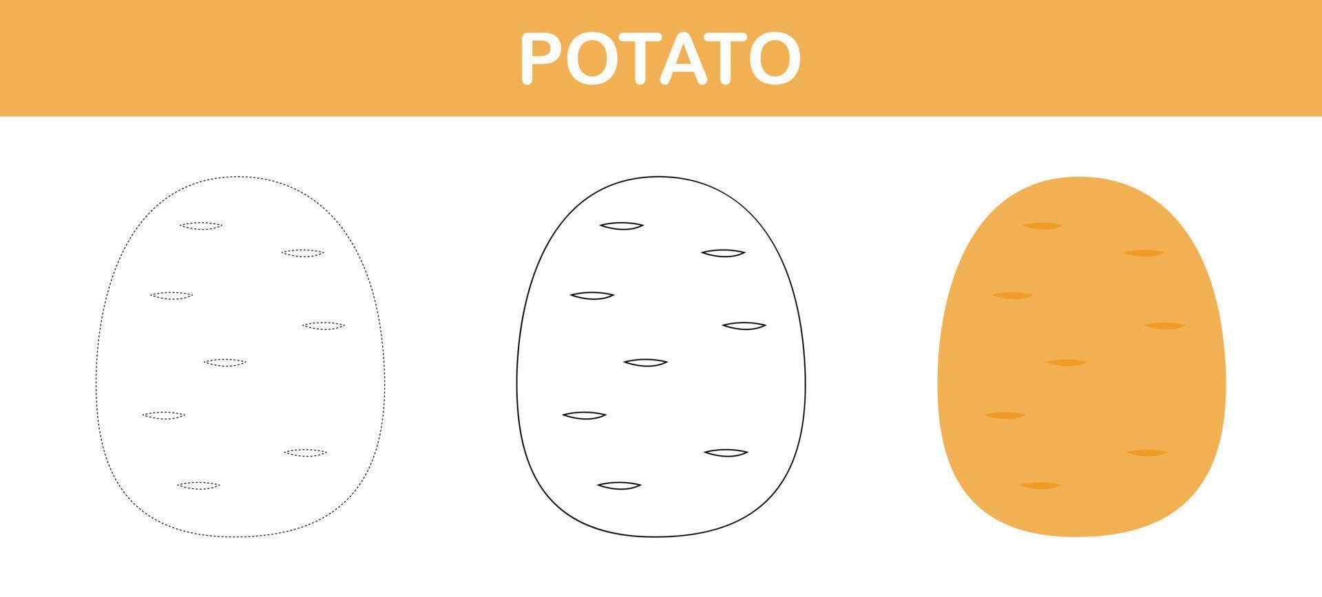 Potato tracing and coloring worksheet for kids vector