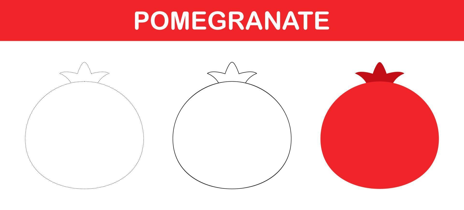 Pomegranate tracing and coloring worksheet for kids vector