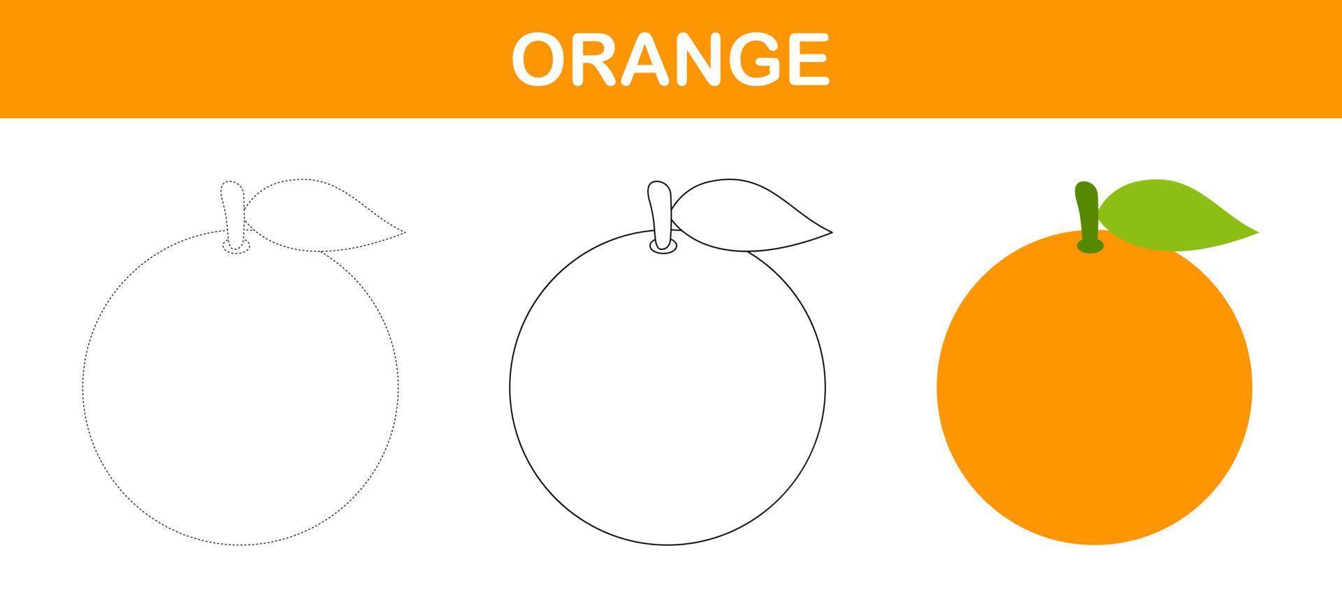 Orange tracing and coloring worksheet for kids vector