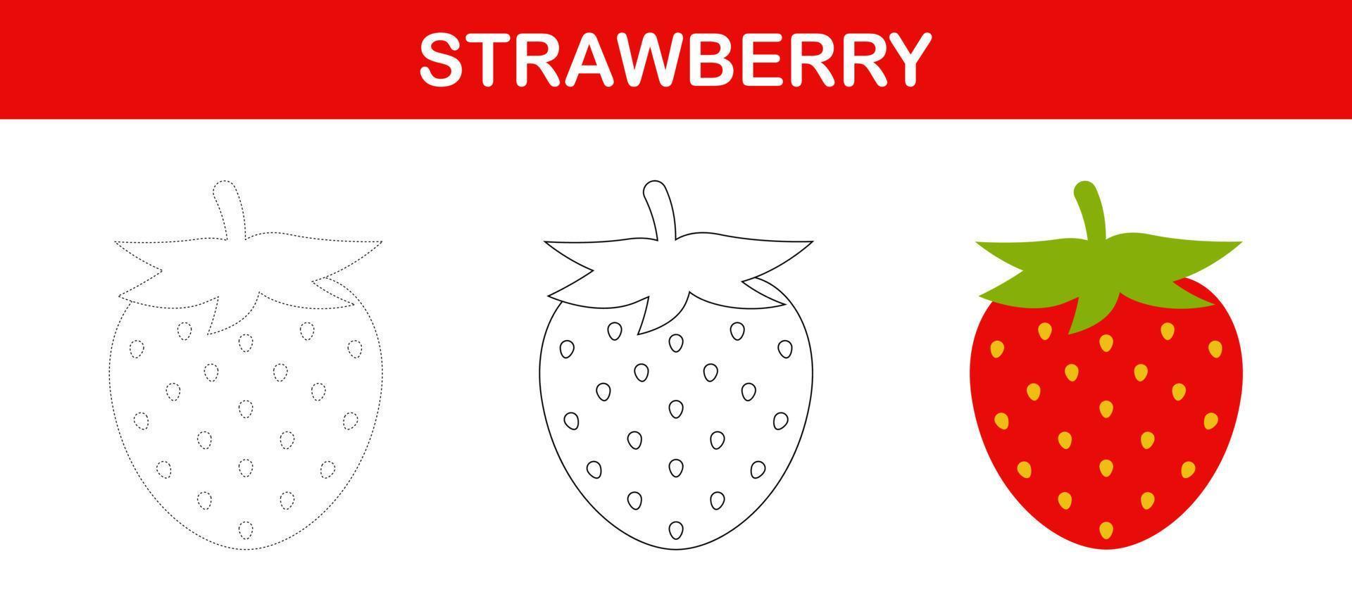 Strawberry tracing and coloring worksheet for kids vector