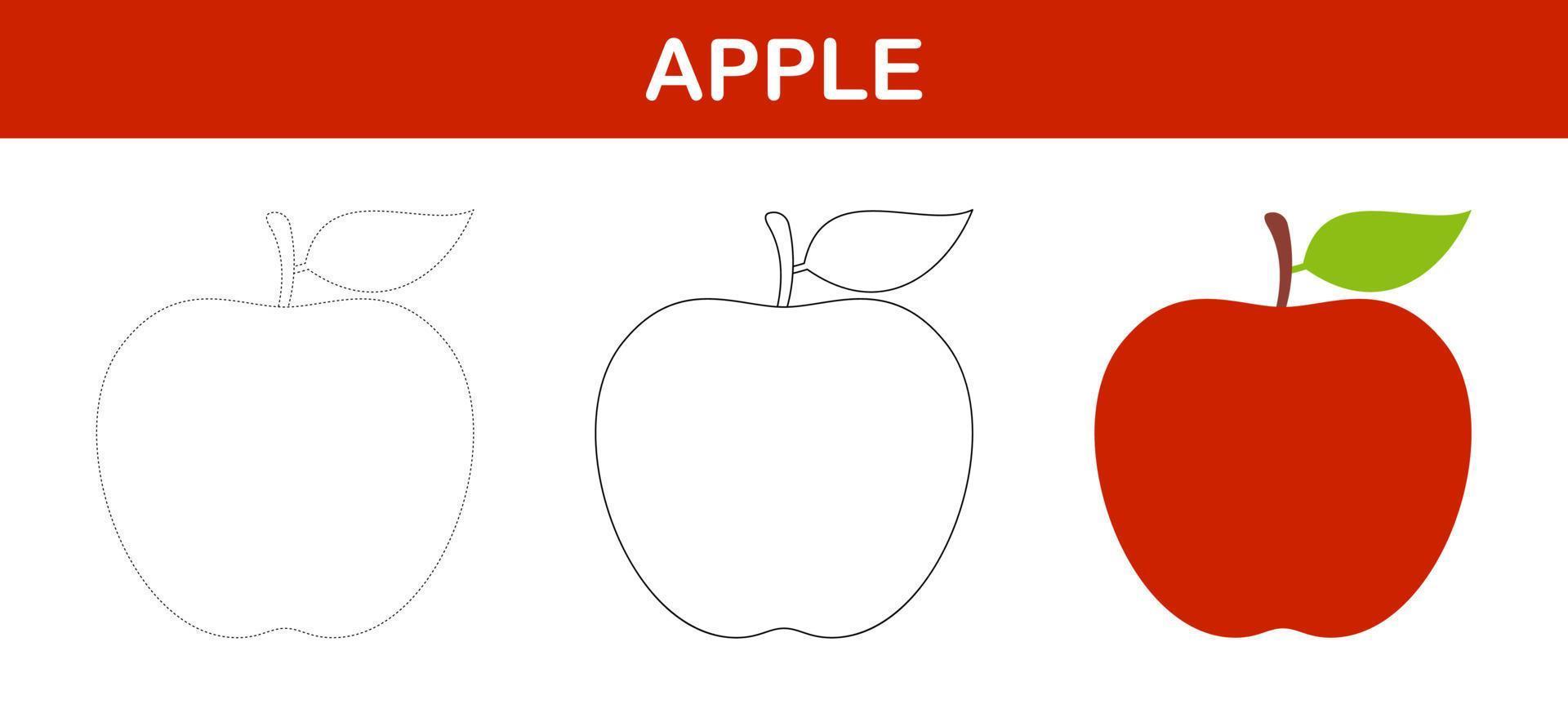 Apple tracing and coloring worksheet for kids vector