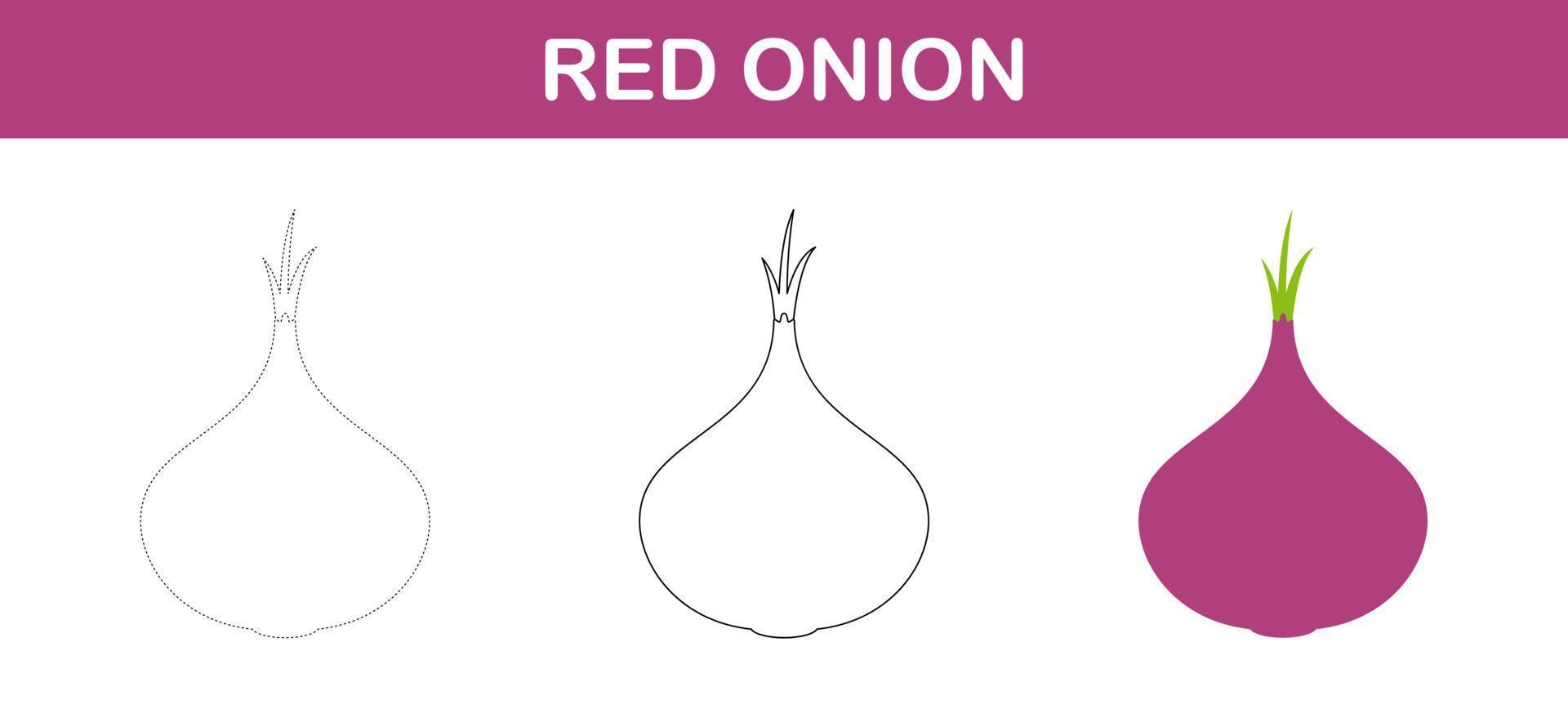 Red Onion tracing and coloring worksheet for kids vector