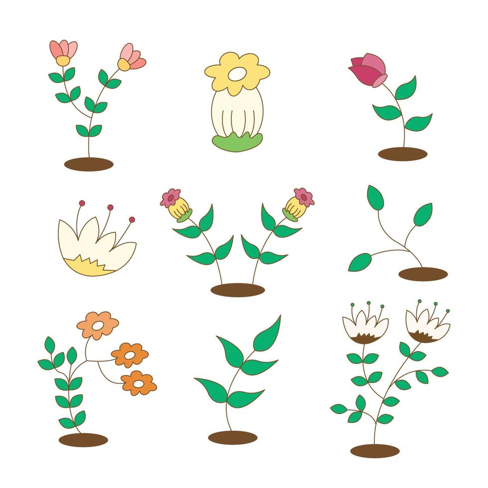 tipos de plantas verdes. vector