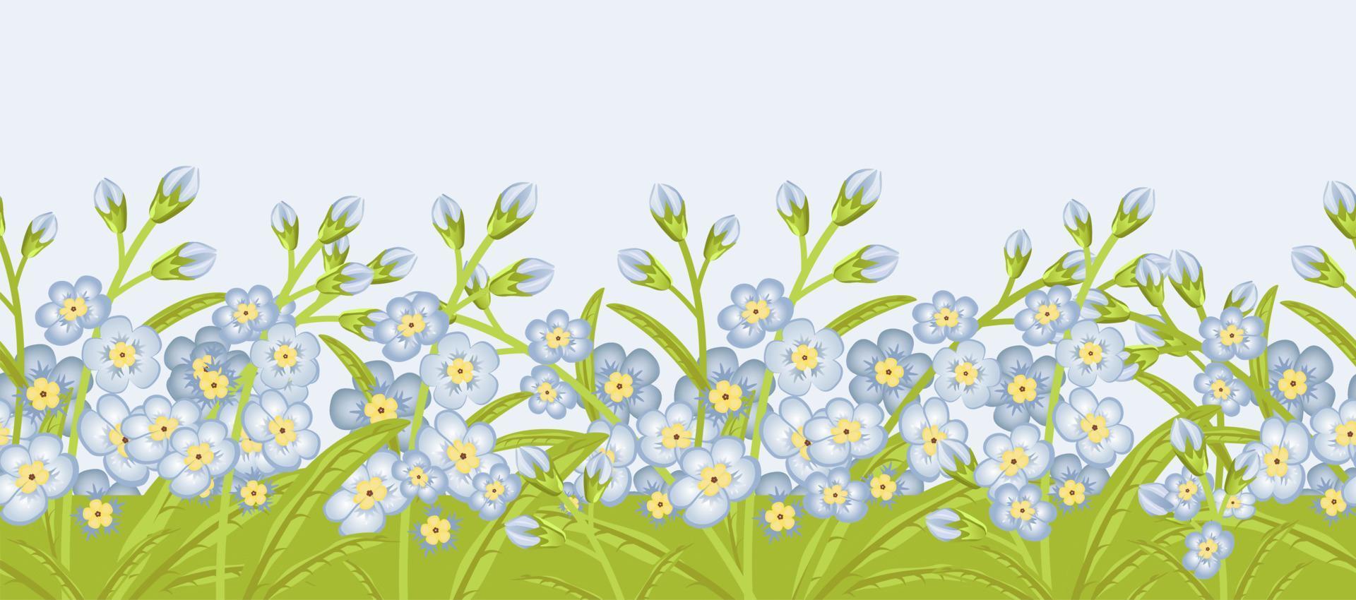 Seamless border with flowers forget me not. vector