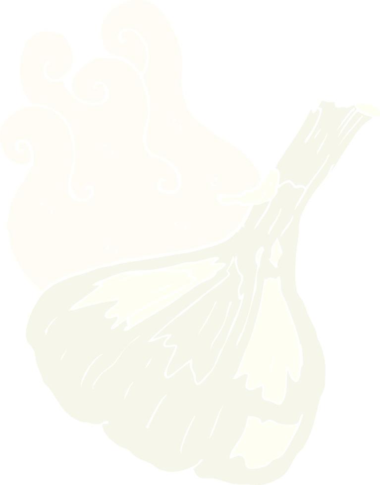 flat color illustration of garlic vector