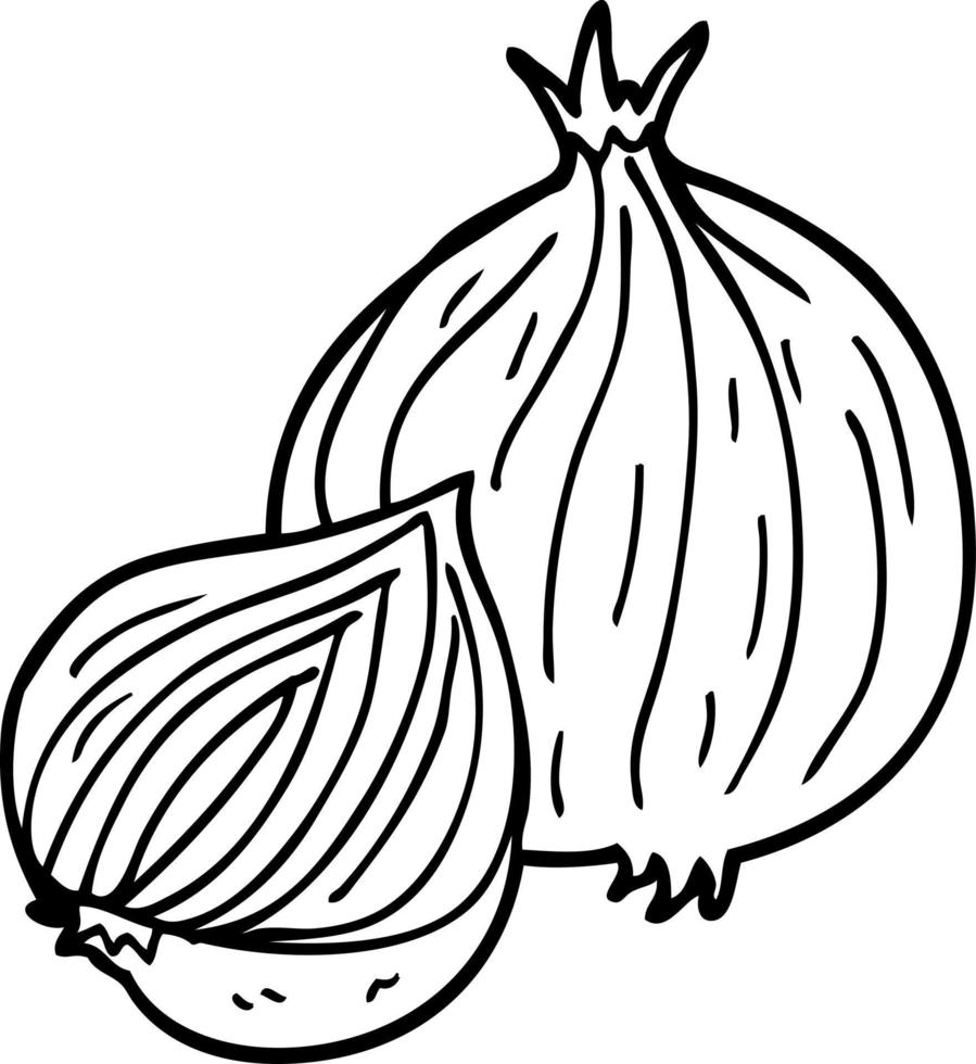 line drawing cartoon onion vector