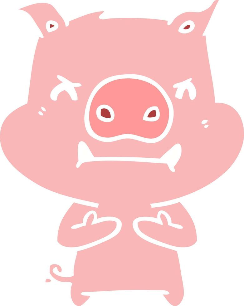 angry flat color style cartoon pig vector