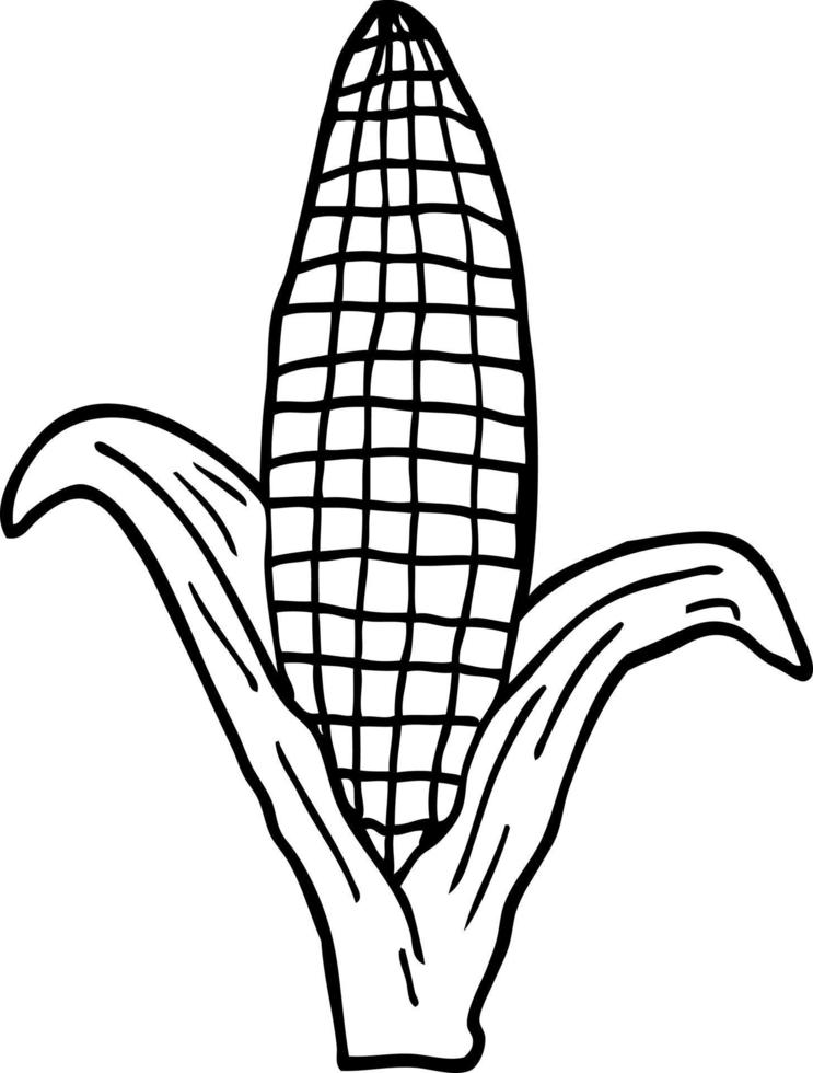 line drawing cartoon healthy corn 12152870 Vector Art at Vecteezy