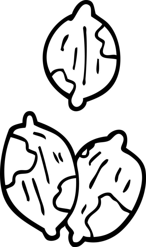 line drawing cartoon nuts in shells vector