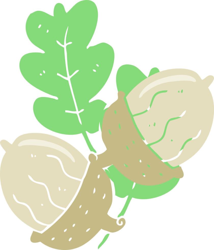 flat color illustration of a cartoon acorns vector