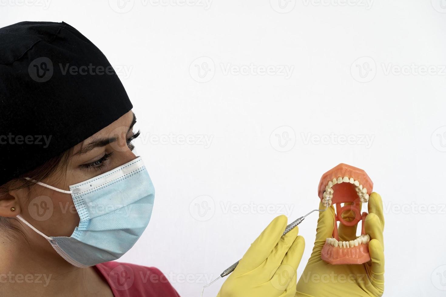 The woman dentist is holding dentures in his hands and instruments photo