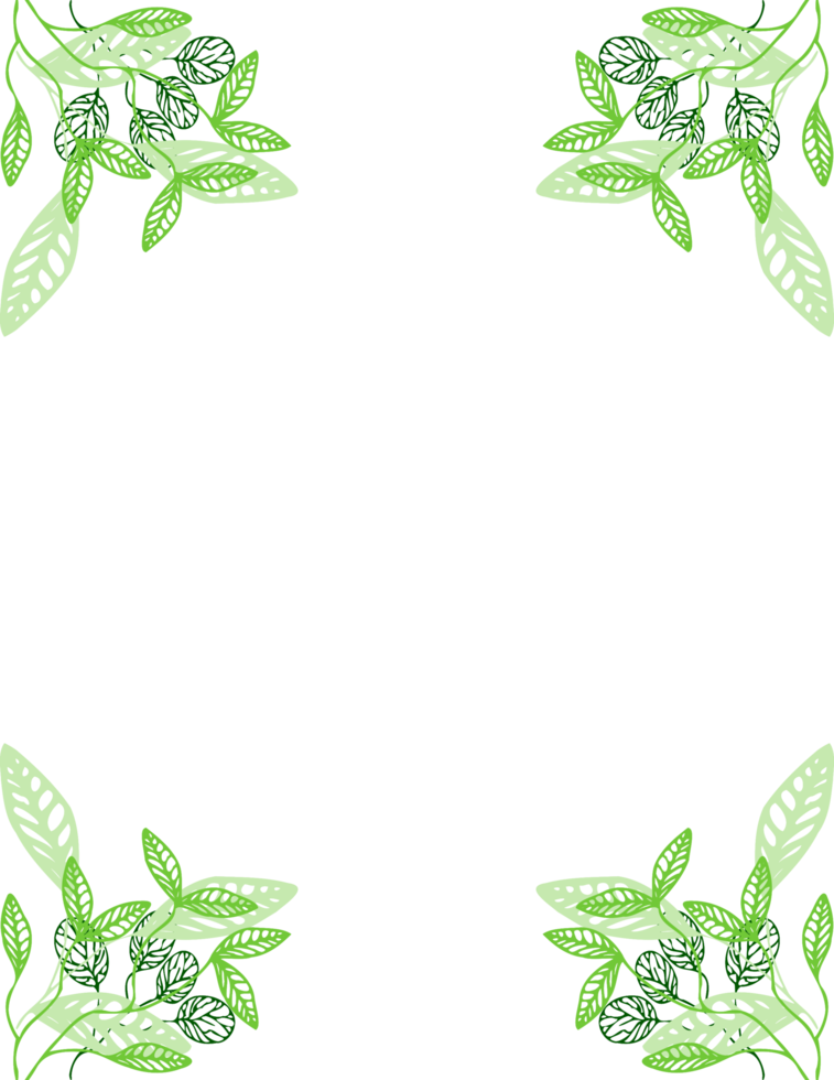 herbal frame png