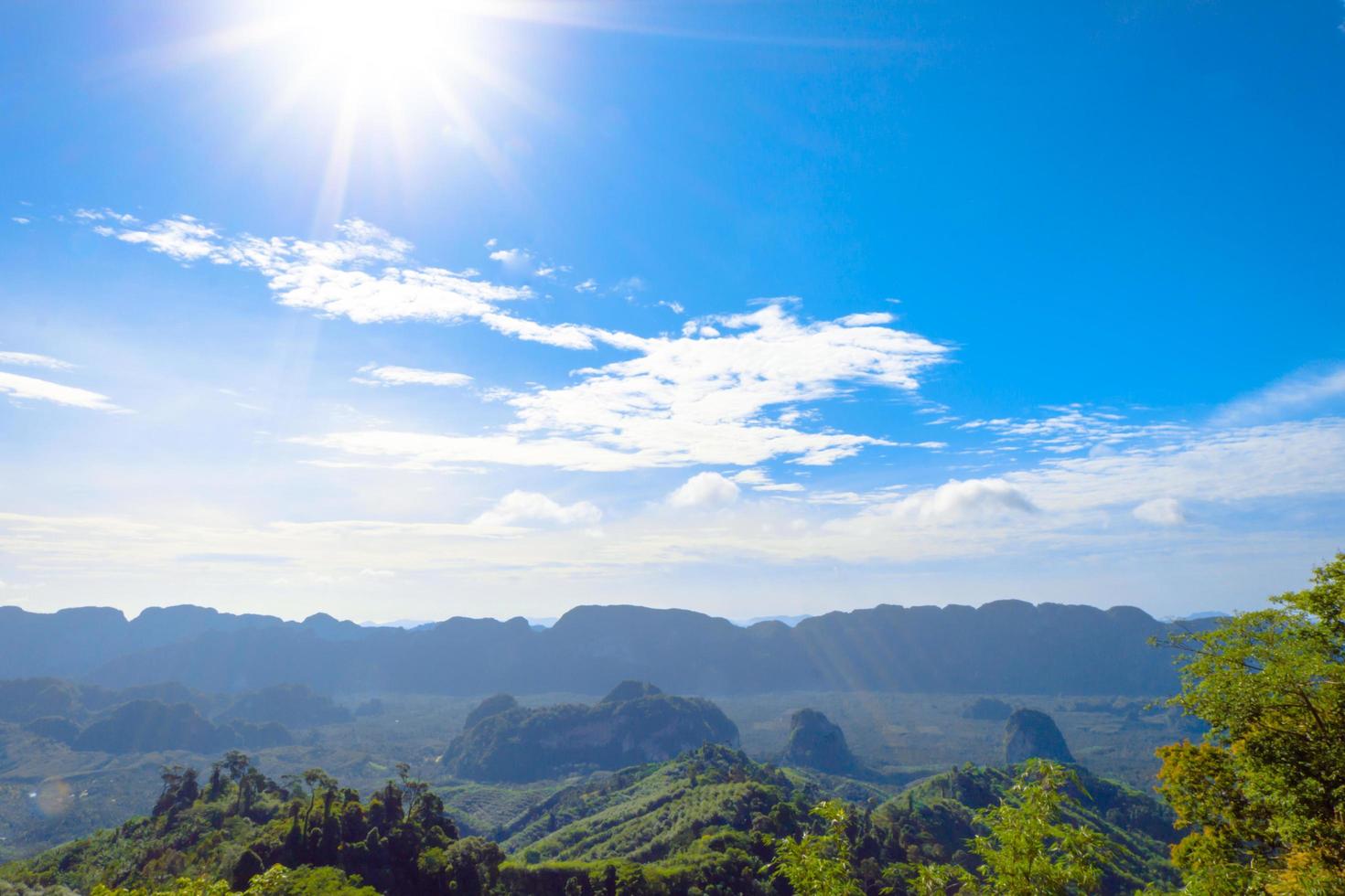 Blue sky with clouds over tops of green trees photo