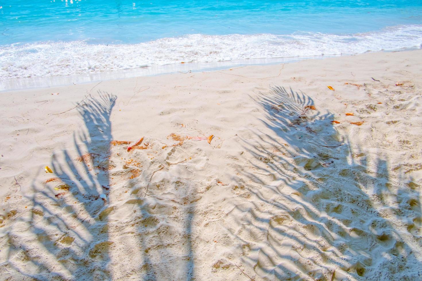 Tropical beach sand with shadows of palm tree leaves.Travel and vacations concept background. photo