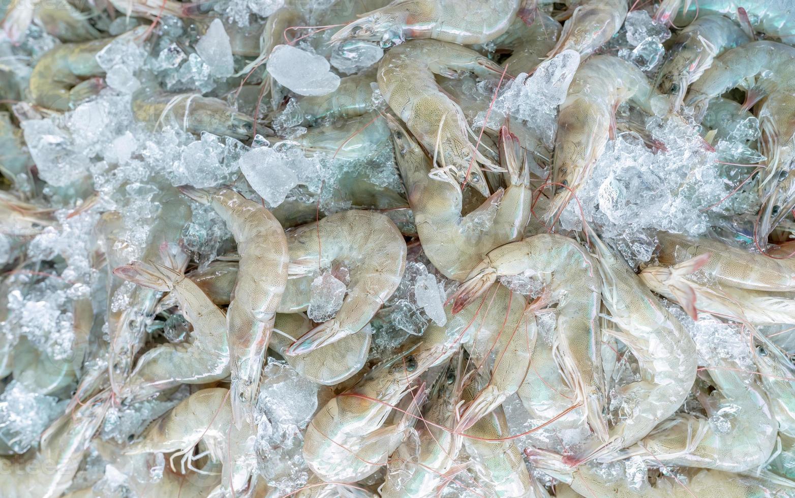 Fresh white shrimps on crushed ice for sale in market. Raw prawns for cooking in seafood restaurant. Sea food industry. Shellfish animal. Shrimp market. Uncooked prawn. Shrimp for frozen food factory. photo