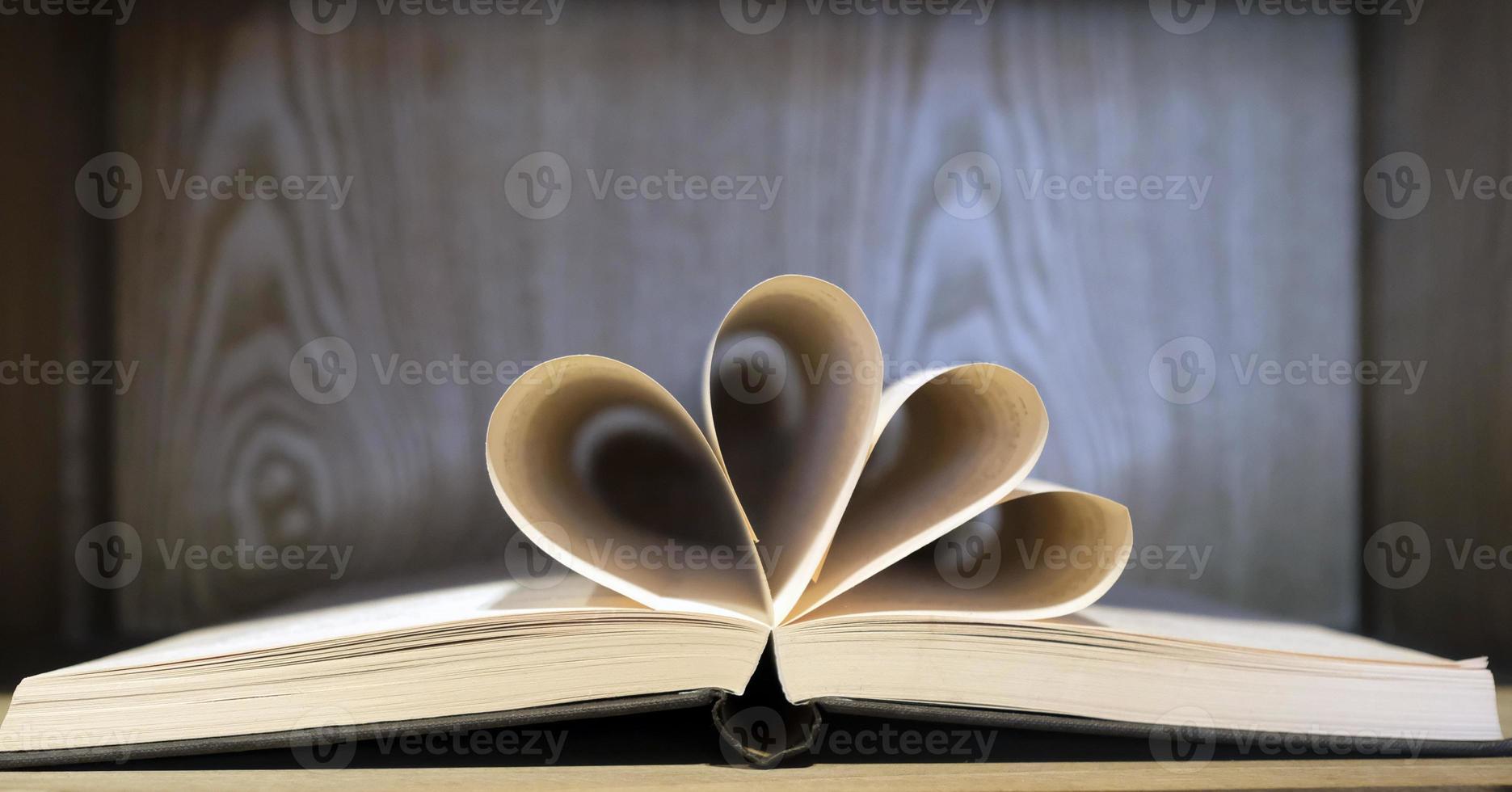 Book pages folded into a bouquet in an open book photo