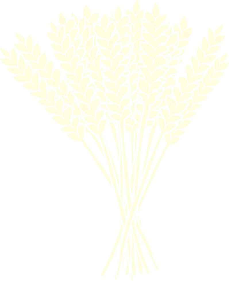flat color illustration of a cartoon wheat vector