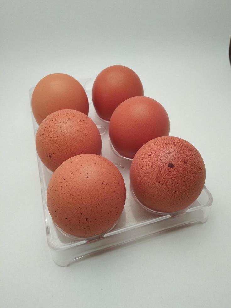 chicken eggs with white background photo