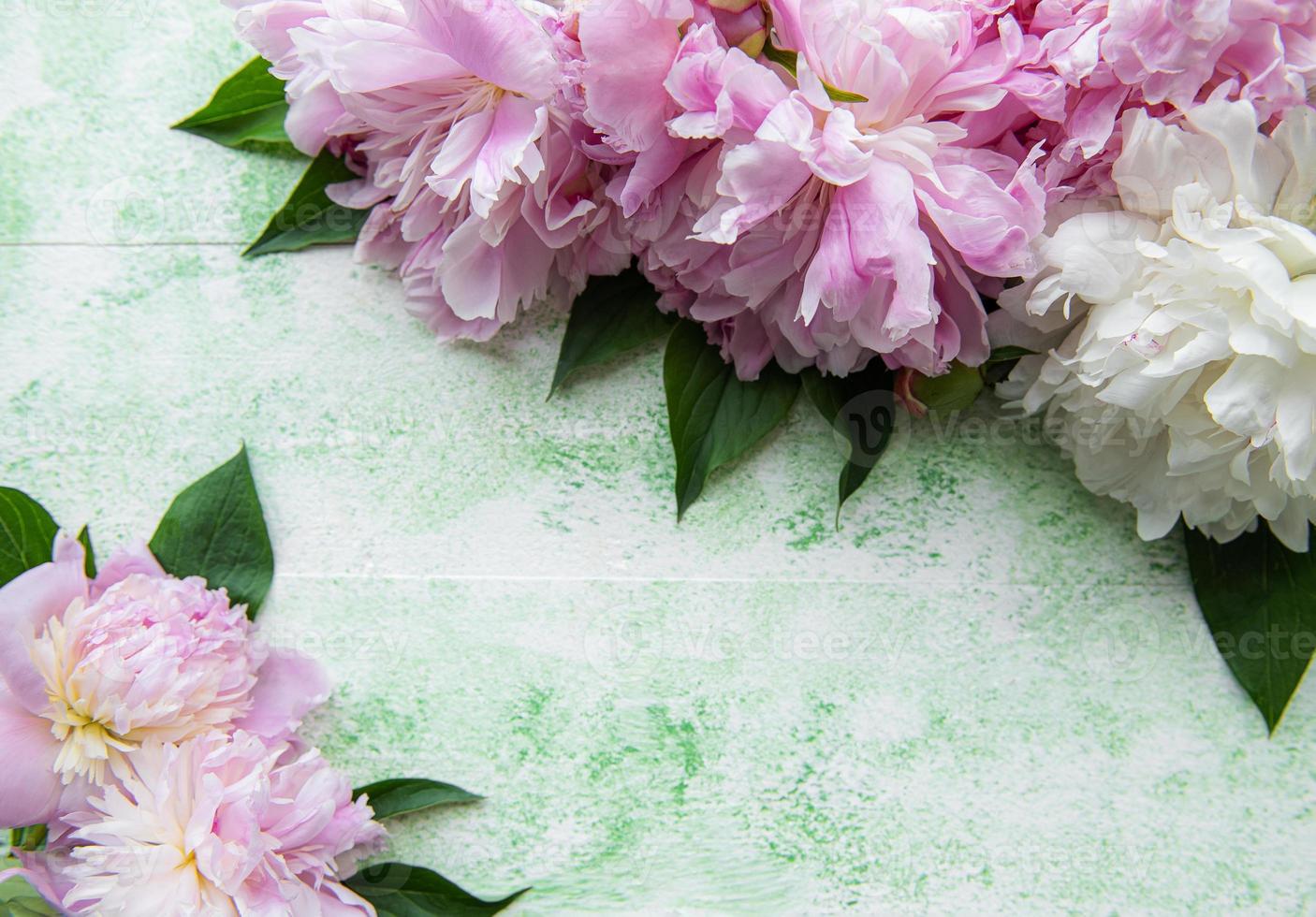 Background with pink peonies photo