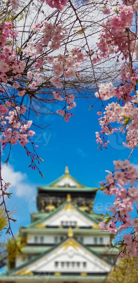 Landscape photo of Osaka Castle in spring, where there are still some cherry blossoms still in bloom.