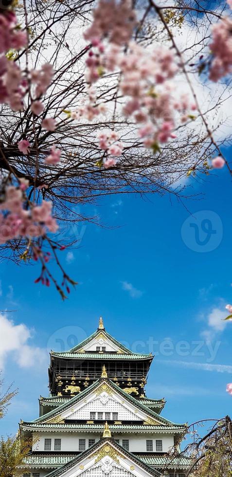 foto paisajística del castillo de osaka en primavera, donde todavía hay algunos cerezos en flor.