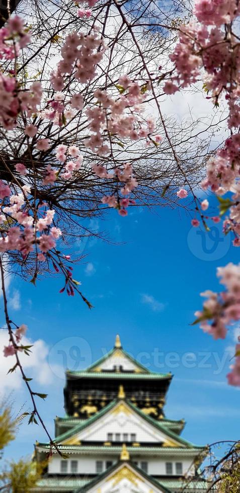 Landscape photo of Osaka Castle in spring, where there are still some cherry blossoms still in bloom.