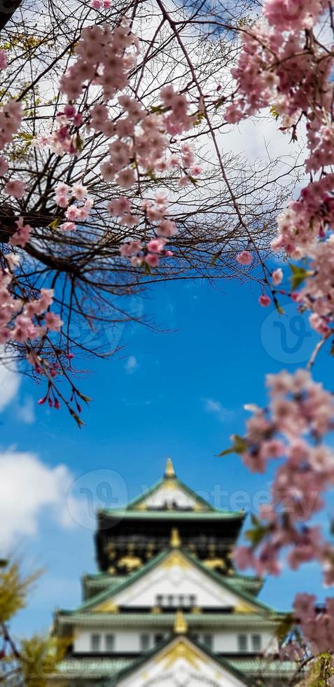 Landscape photo of Osaka Castle in spring, where there are still some cherry blossoms still in bloom.