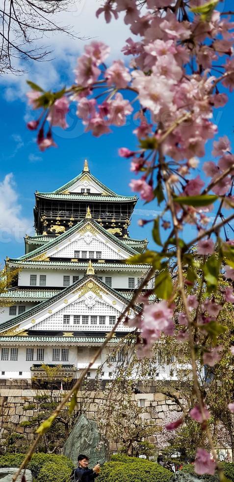 foto paisajística del castillo de osaka en primavera, donde todavía hay algunos cerezos en flor.