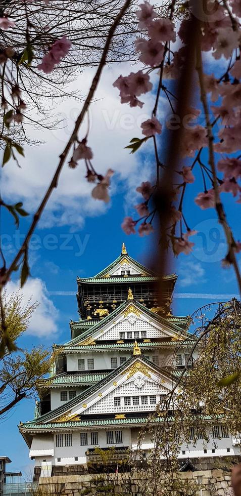 Landscape photo of Osaka Castle in spring, where there are still some cherry blossoms still in bloom.